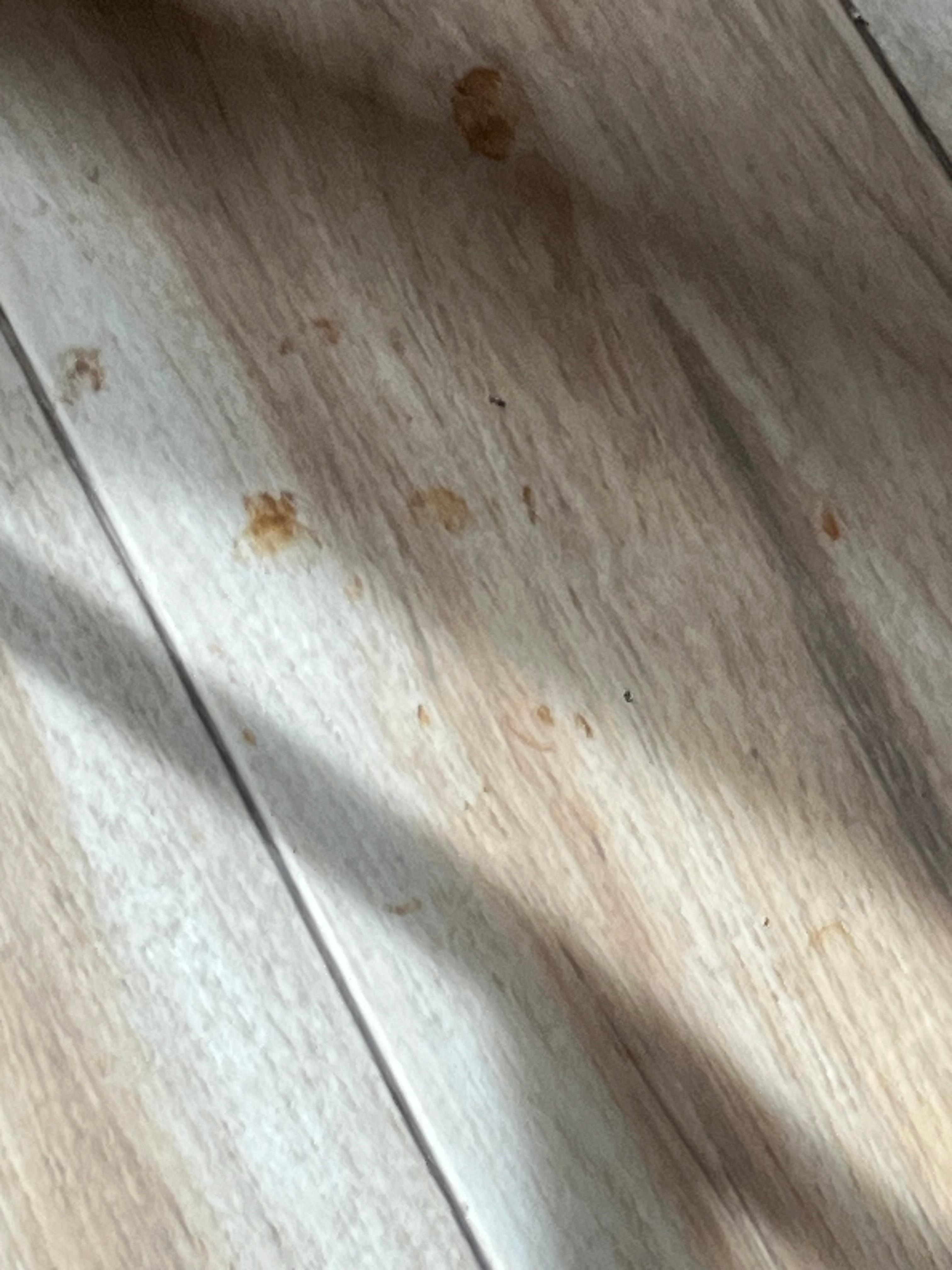 Filthy floor