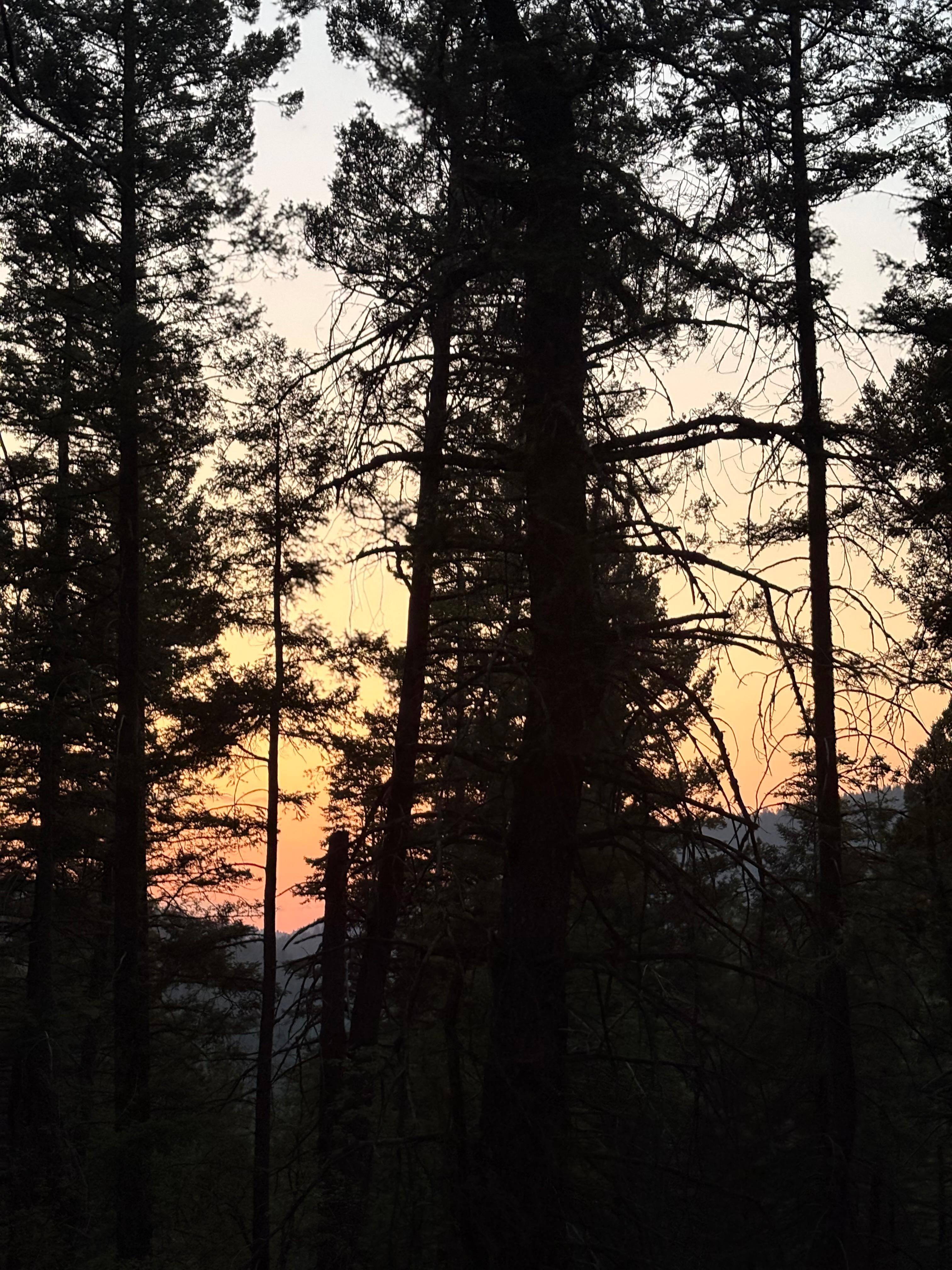 Sunset outside the cabin 