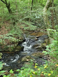 Stream below cabin, not accessible but in view and ear shot.