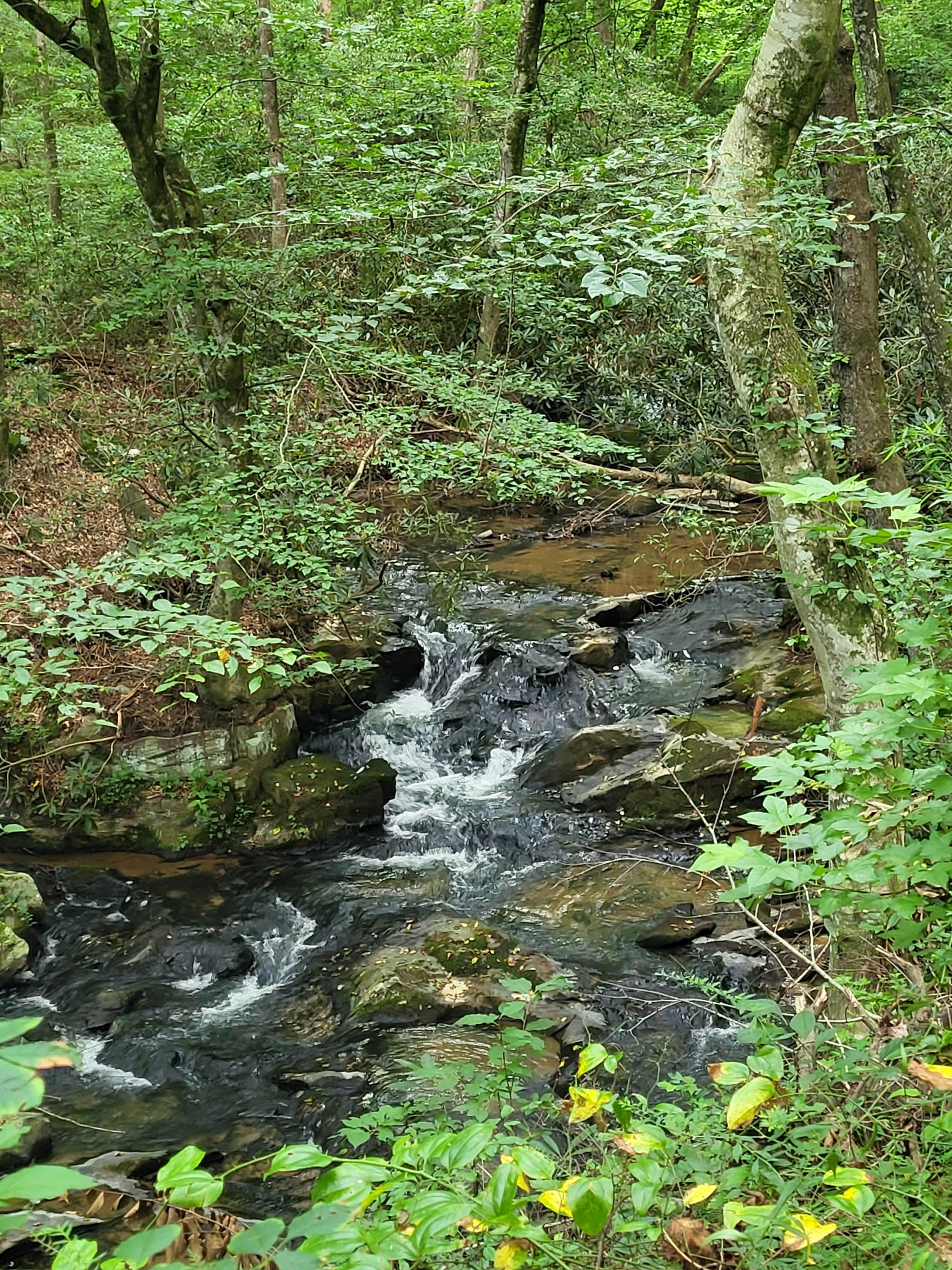 Stream below cabin, not accessible but in view and ear shot.