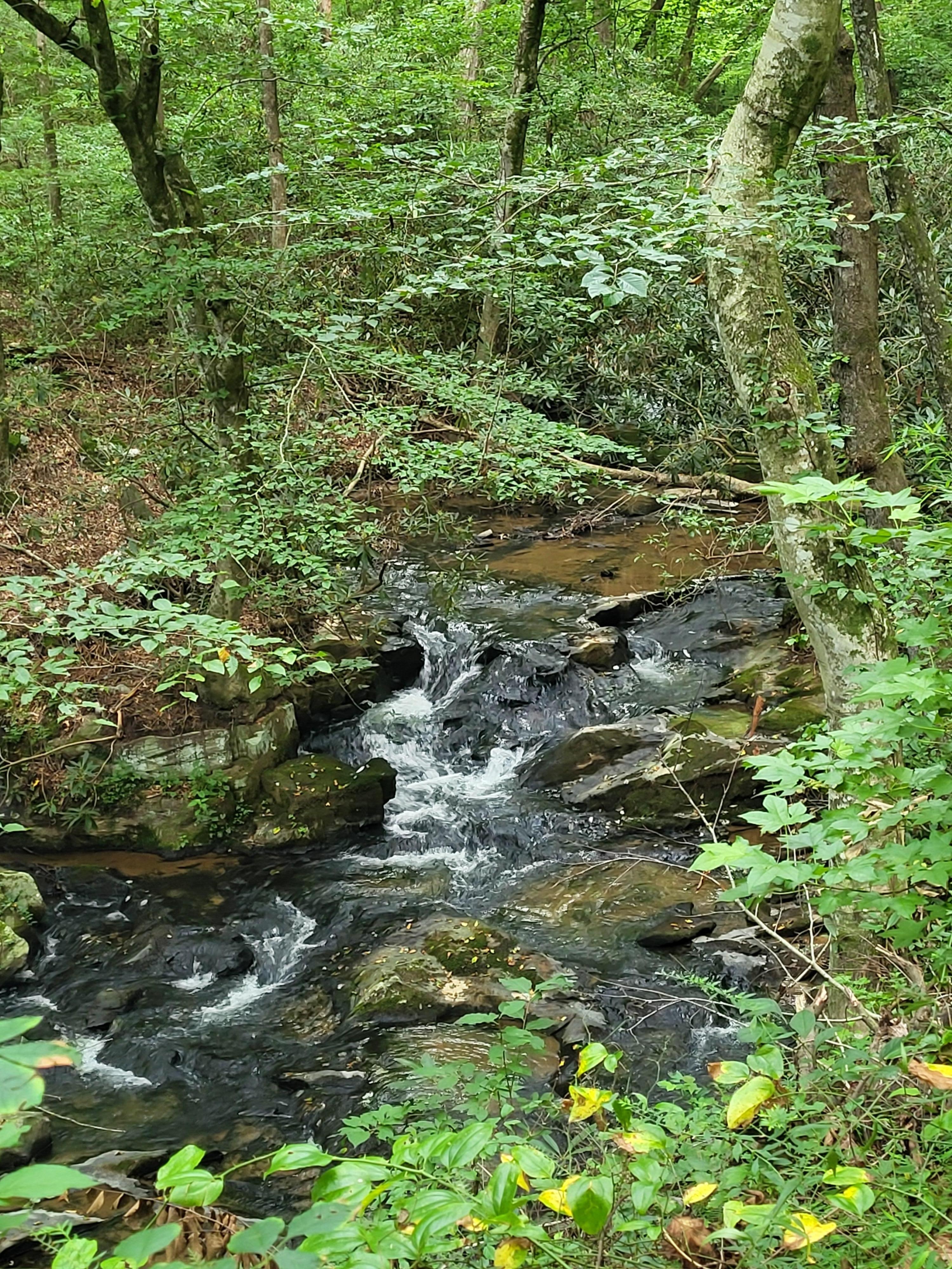 Stream below cabin, not accessible but in view and ear shot.
