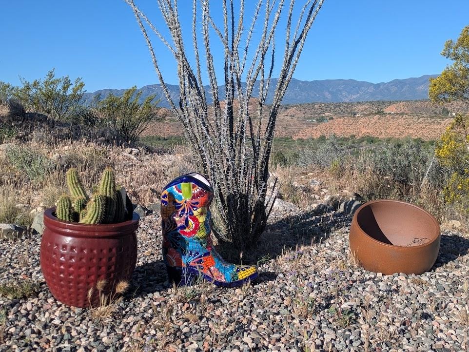 Decorations EVERYWHERE