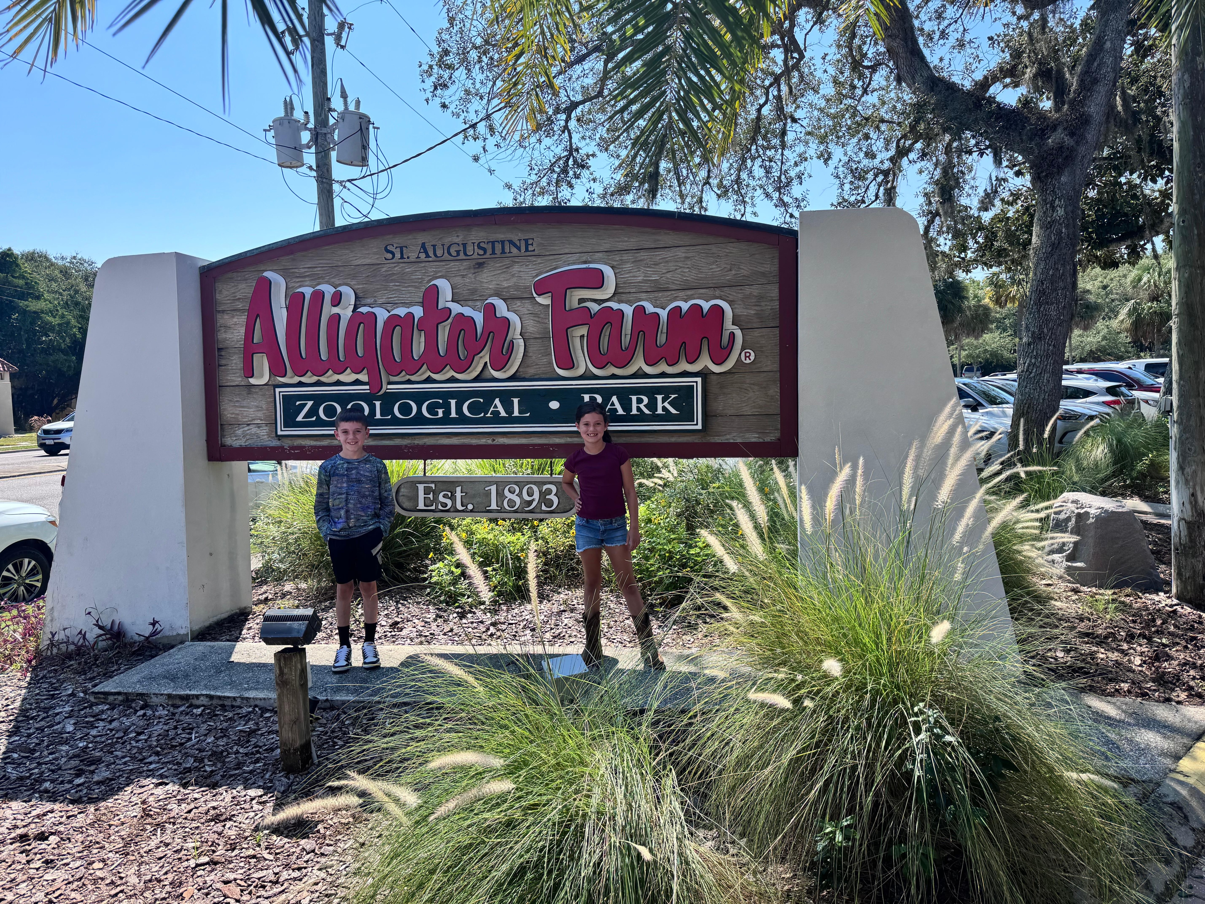 Short drive to the alligator farm