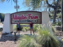 Short drive to the alligator farm