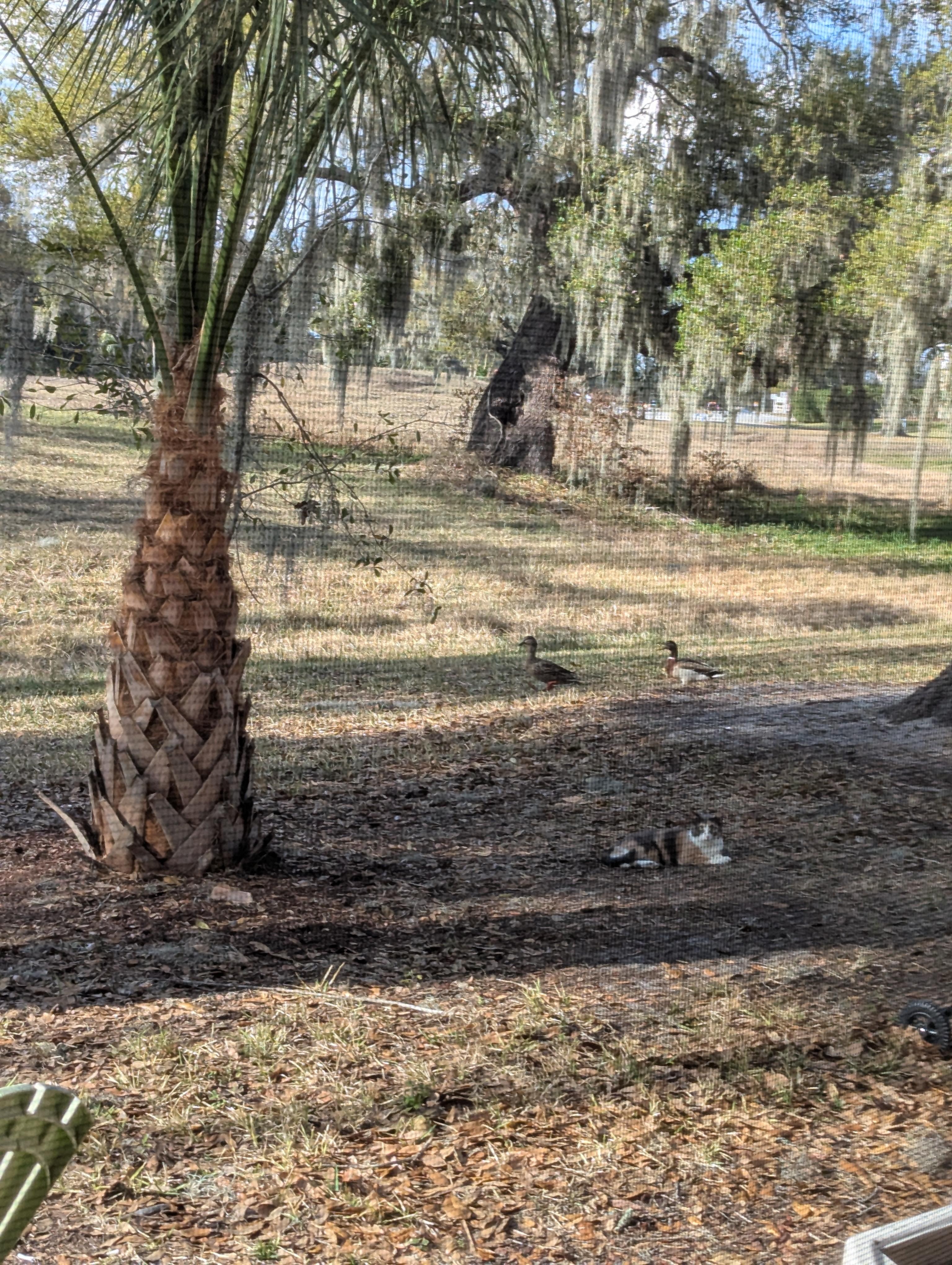 Friendly visitors everyday 