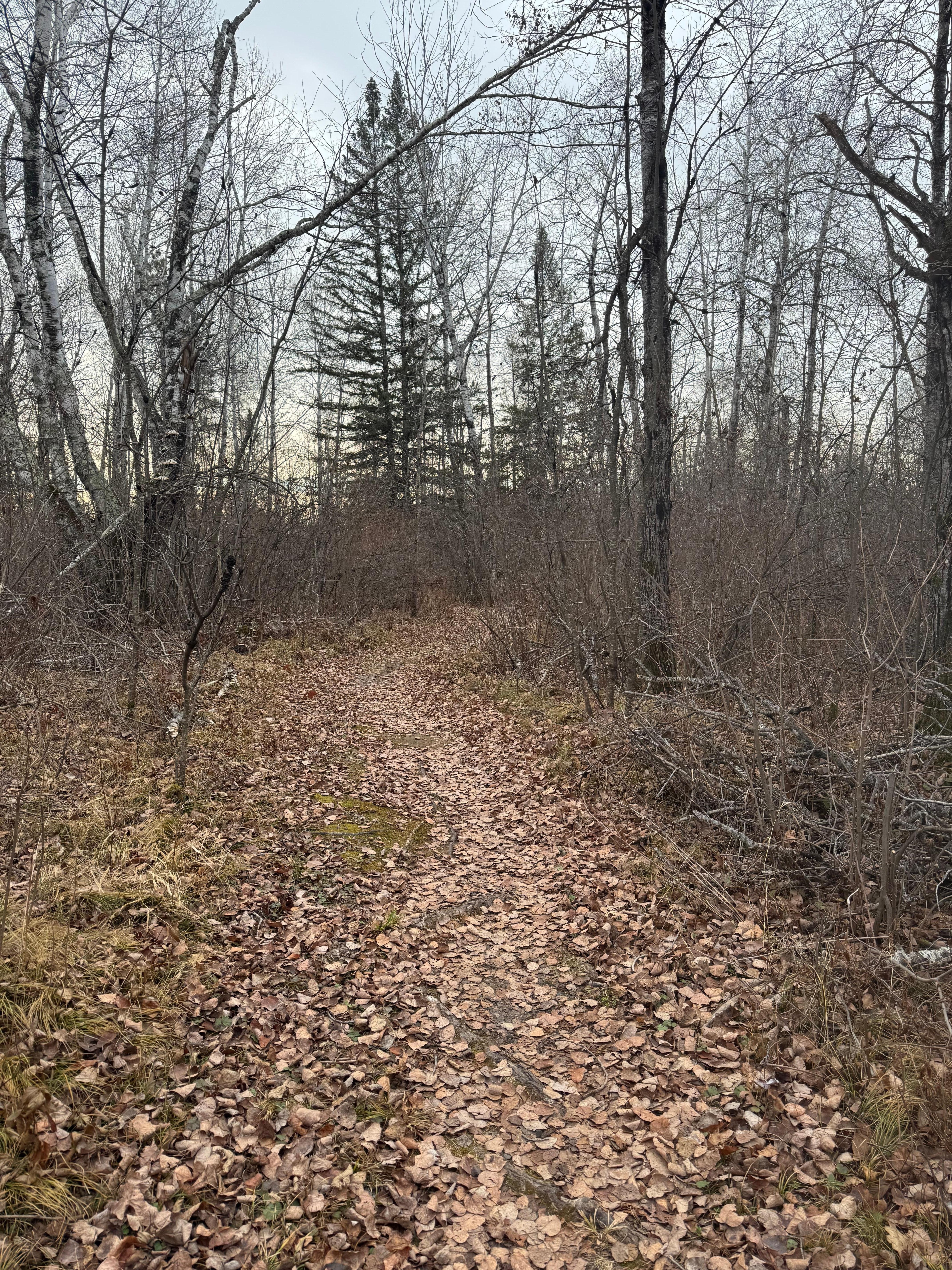 One of the many trails right out the front door. 