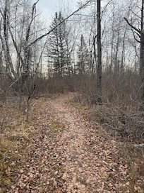 One of the many trails right out the front door.