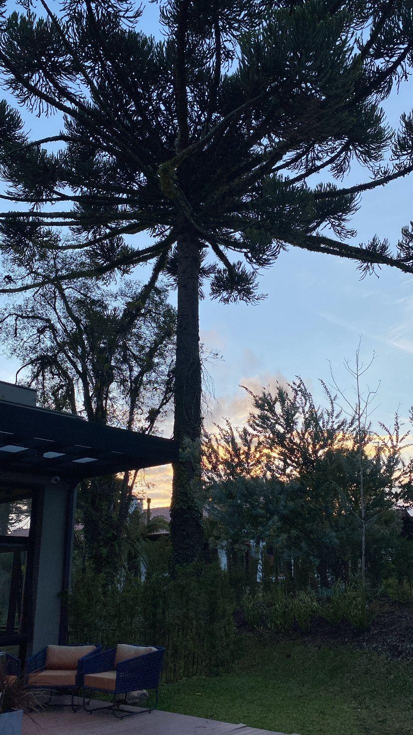 Lindo fim de tarde
