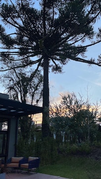 Lindo fim de tarde