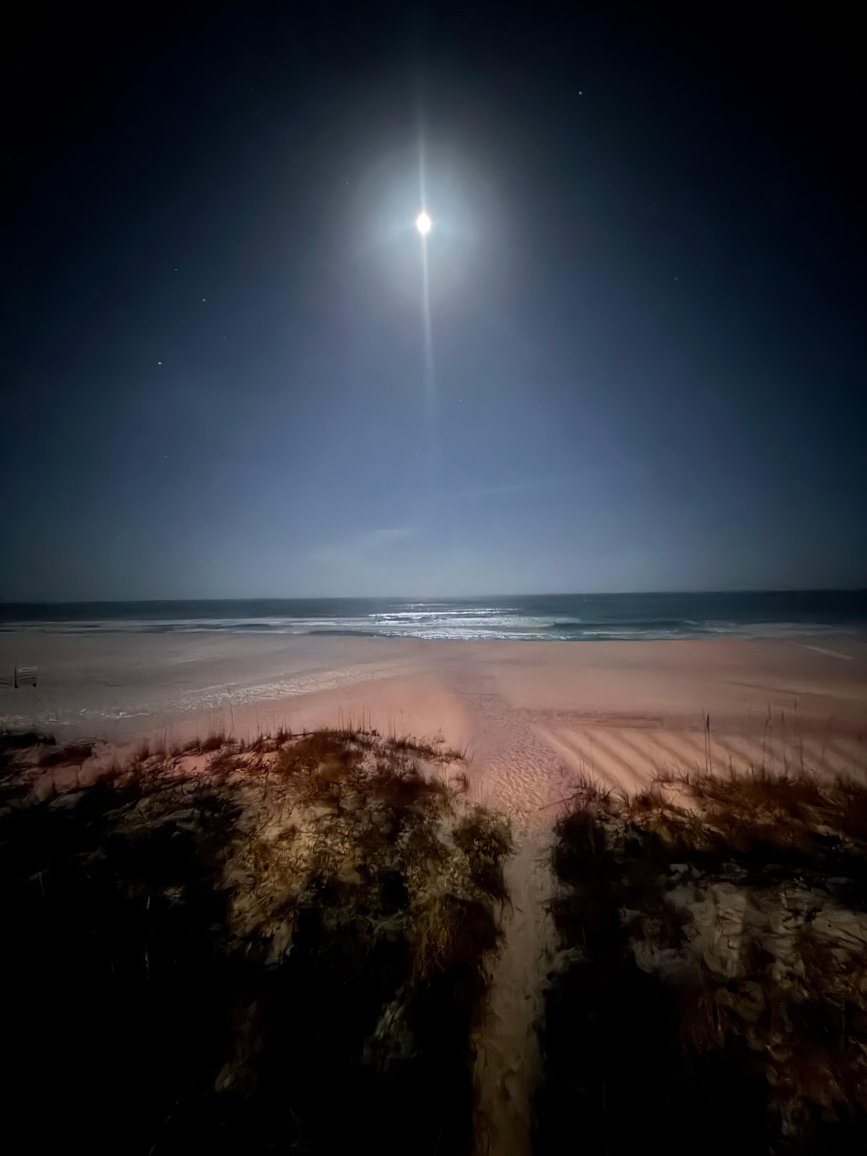 Moonlight looks awesome! 