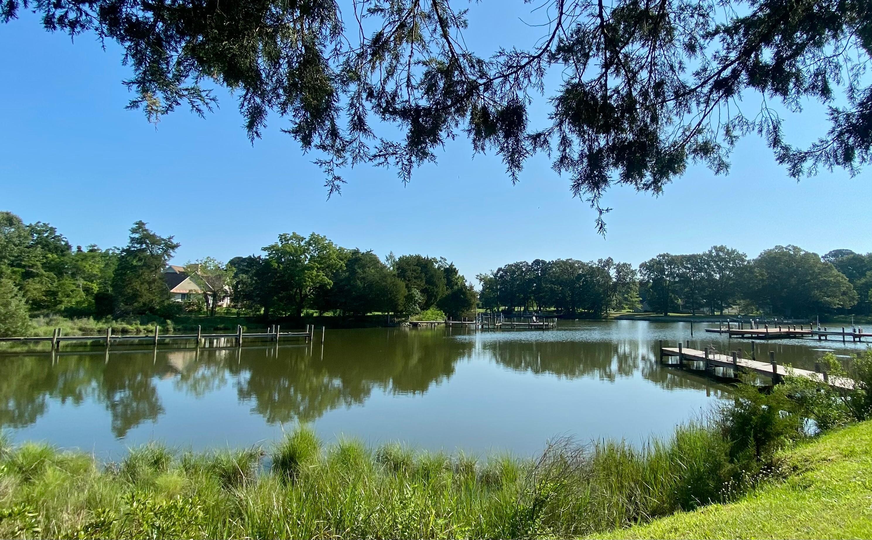Idyllic shady spot by the water