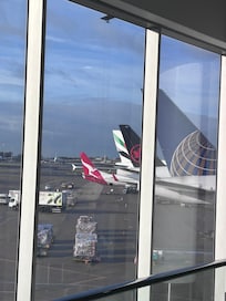 View from SYD airport