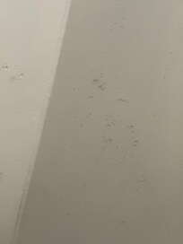 Dirty room