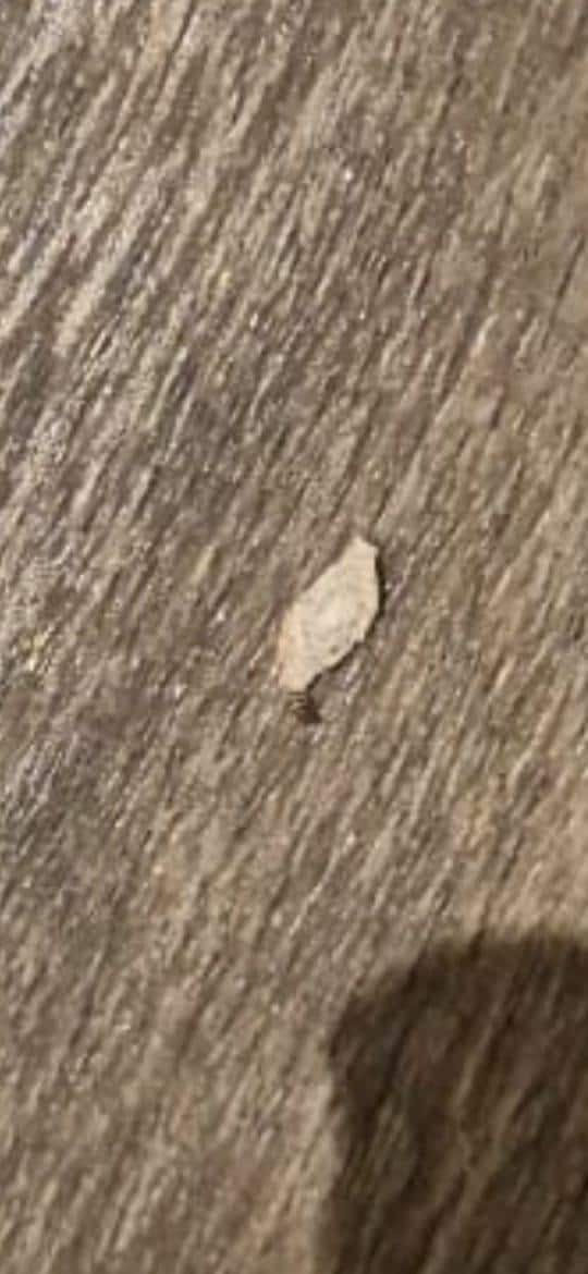 TRAÇAS AOS MONTES NO QUARTO.