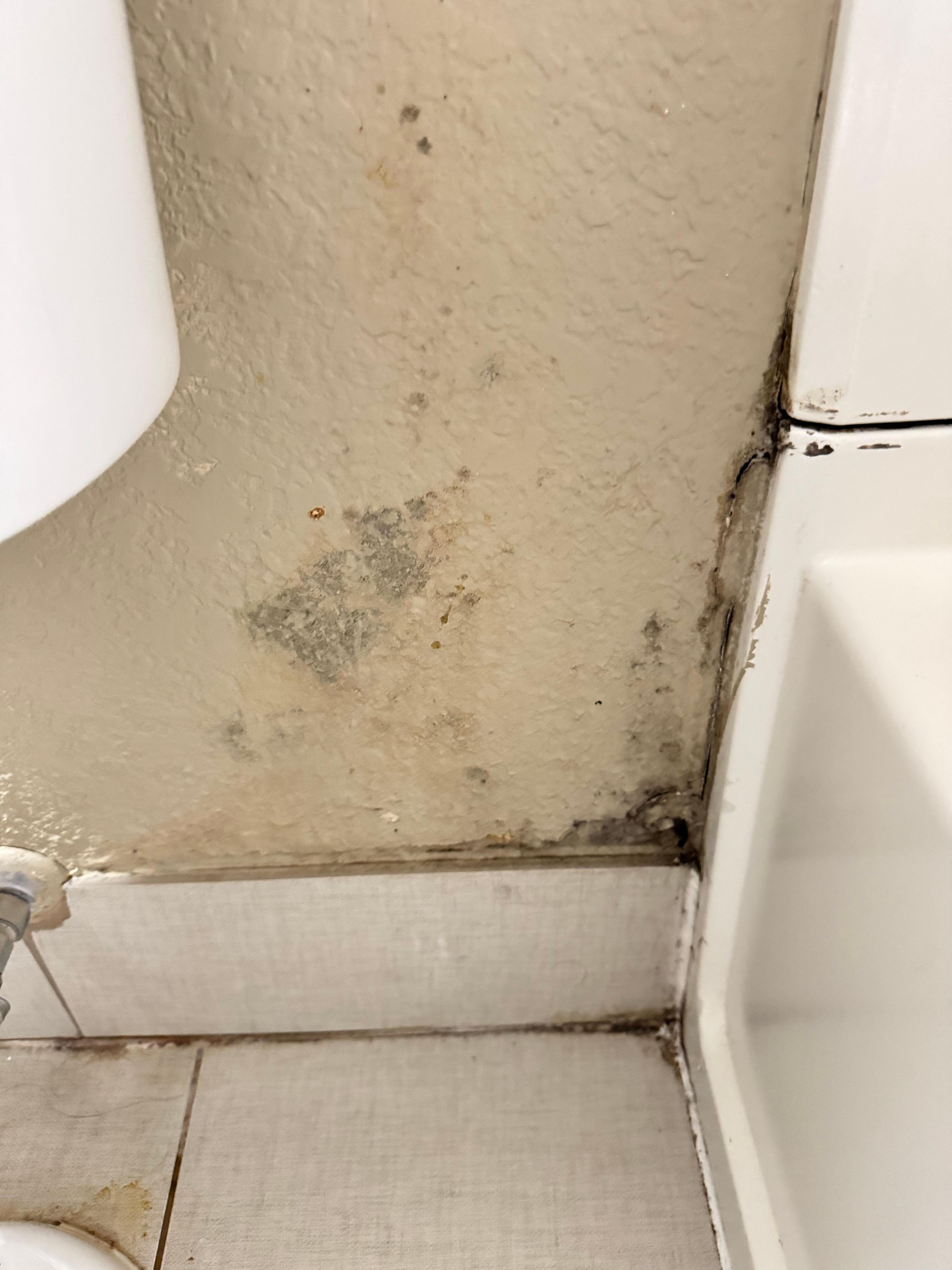 Black mold in bathroom 