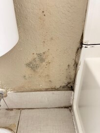 Black mold in bathroom