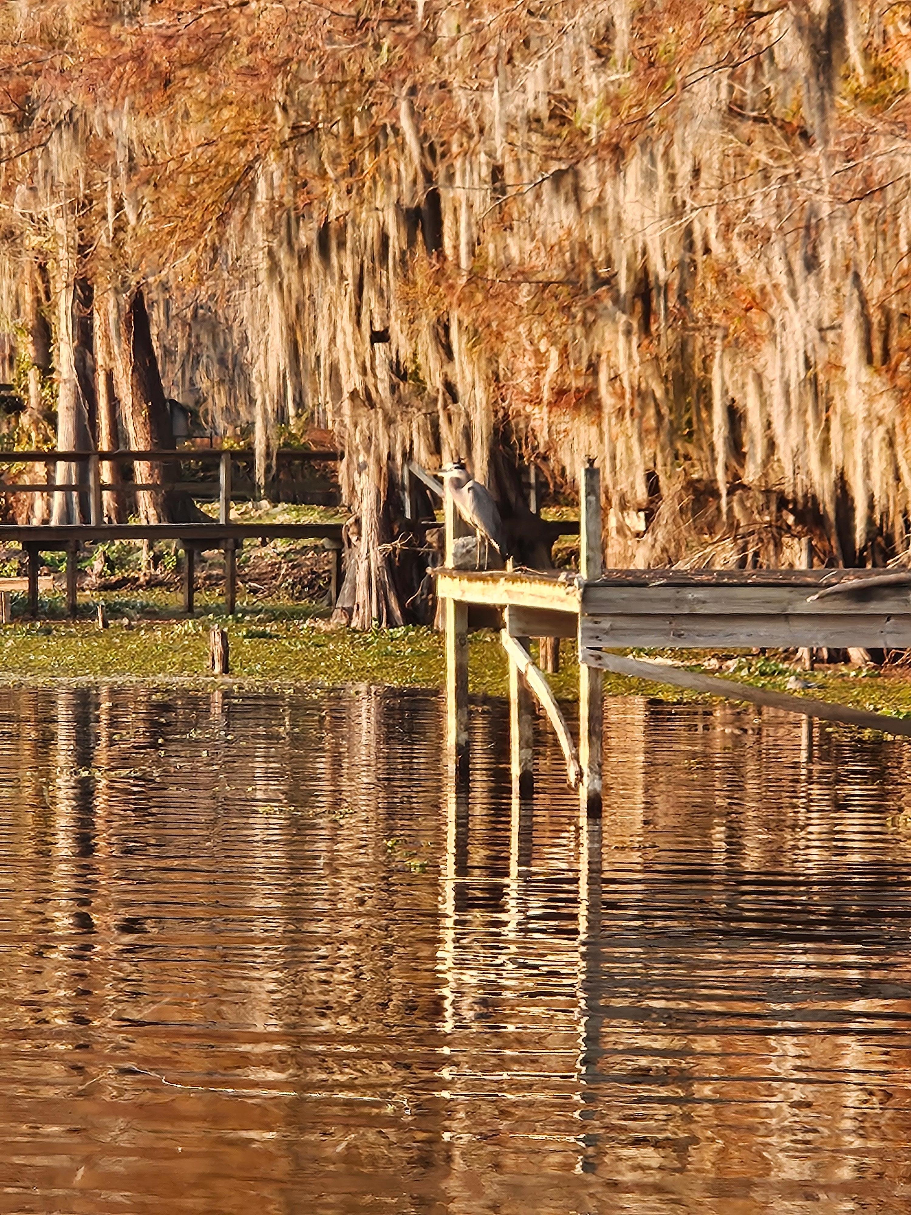 Taken from the boat dock/deck toward the adjacent properties. 