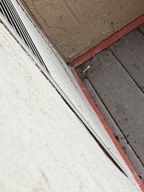 We don’t smoke but cigarette butts left on the balcony