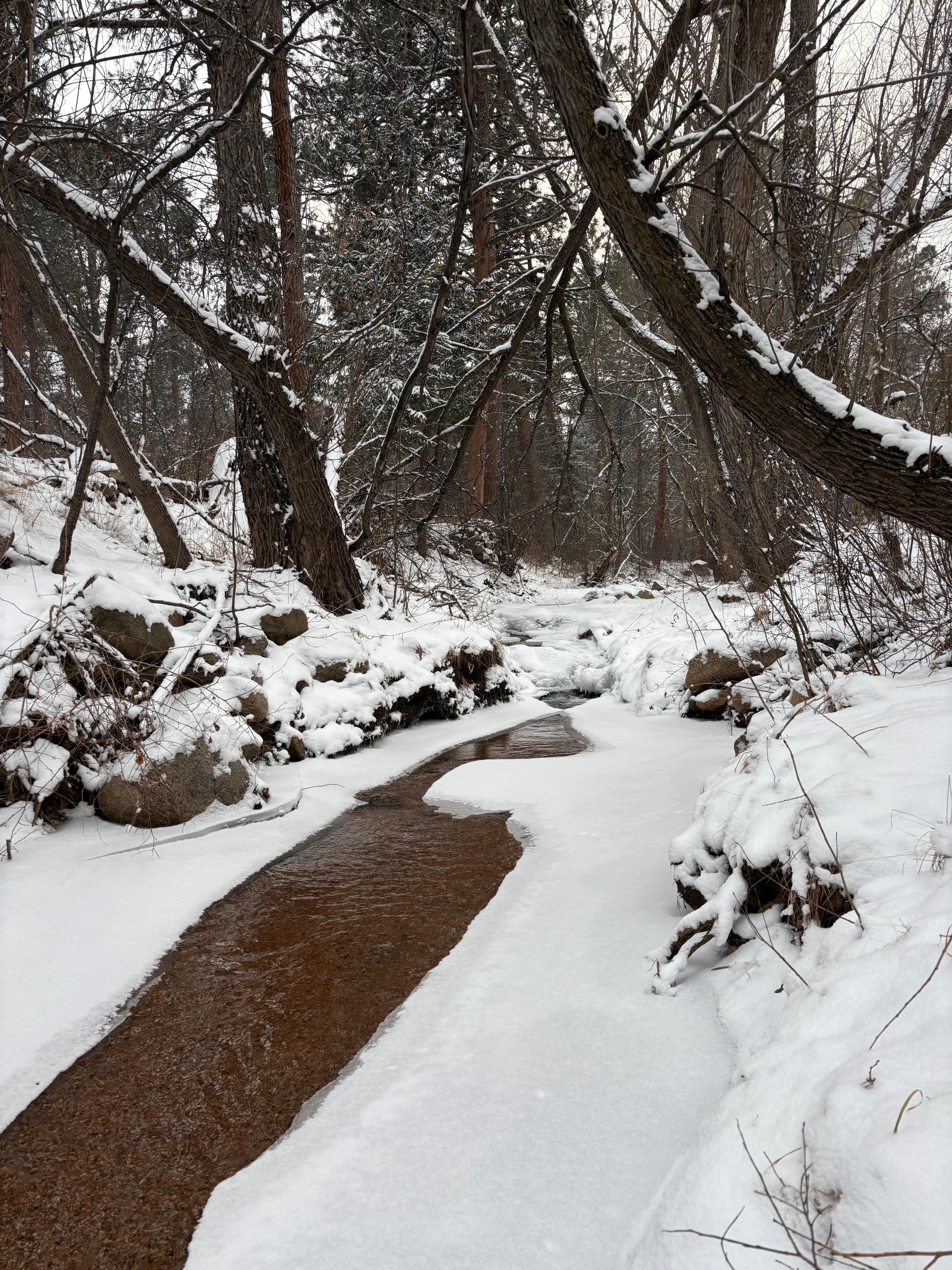 Flowing creek in the back