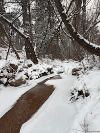 Flowing creek in the back
