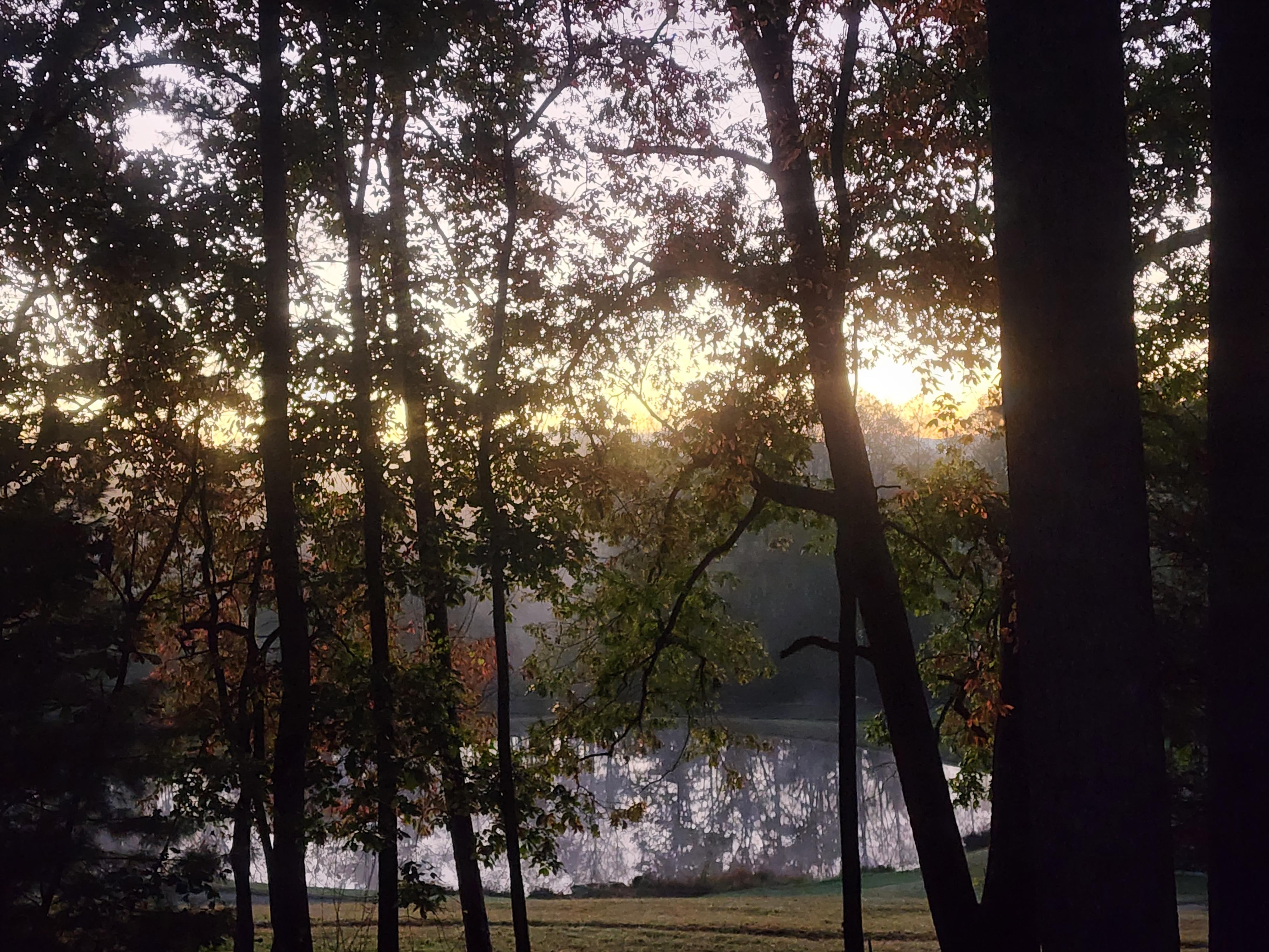 Sunrise over the pond 