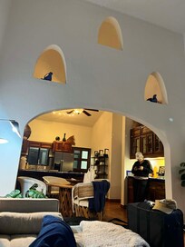 Plenty of room for the whole family. Lots of towels to accommodate showers, pool, and beach.