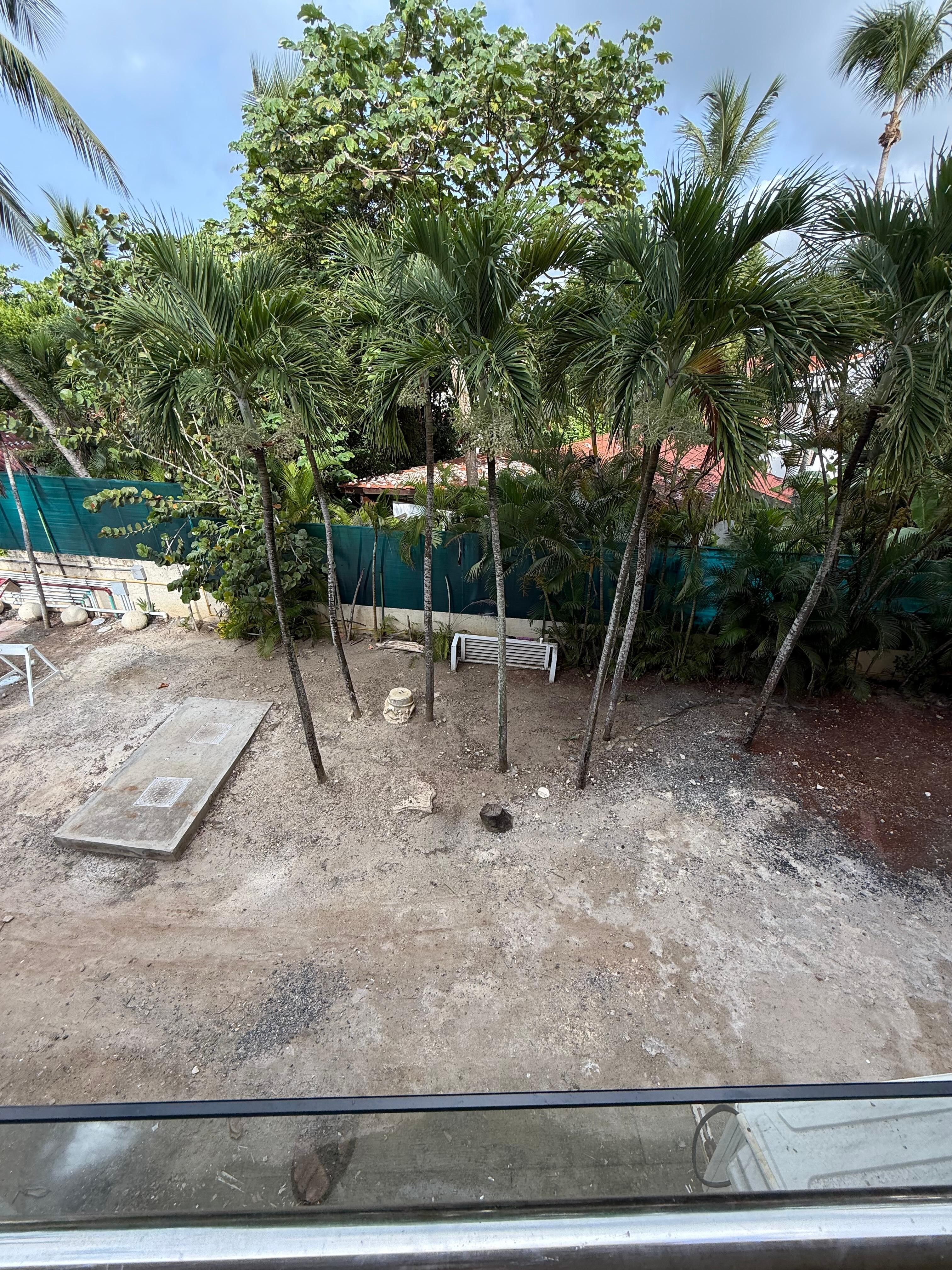 my view from the window 
