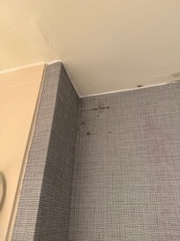 Black mold on the bathroom walls and ceiling.