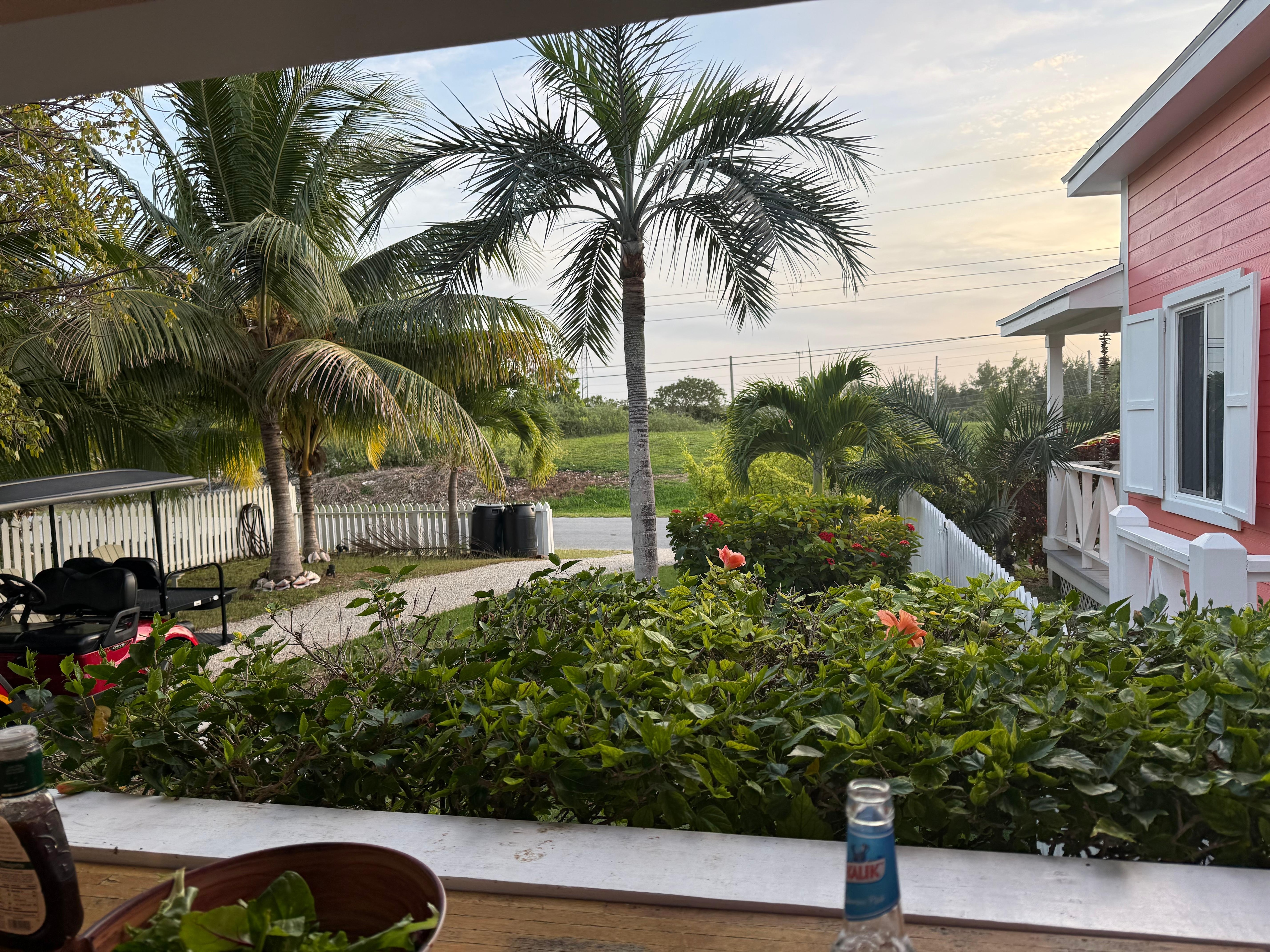 The yard from the porch