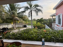 The yard from the porch