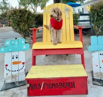 Great Christmas vibe