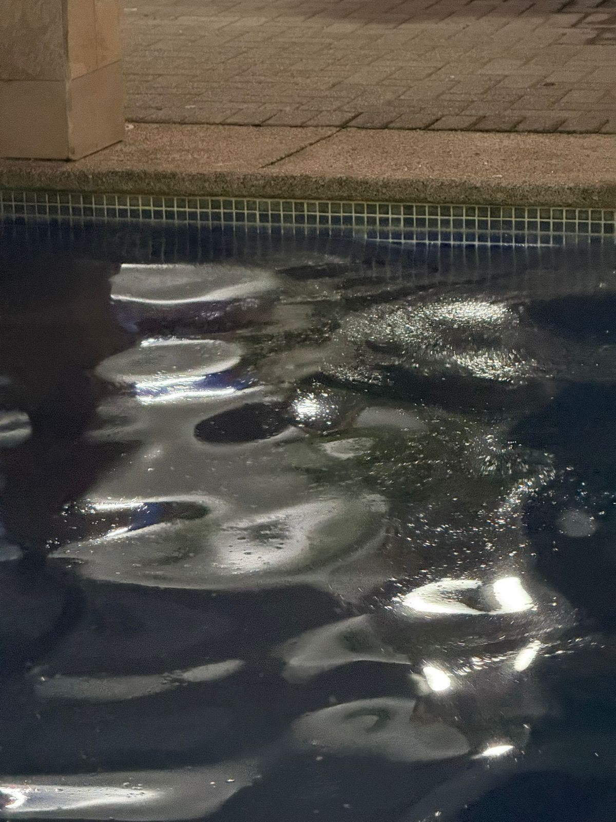 Como era casi de noche no se ve muy bien en la foto pero esa es la capa de grasa que se veía en toda la piscina.