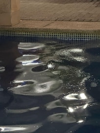 Como era casi de noche no se ve muy bien en la foto pero esa es la capa de grasa que se veía en toda la piscina.