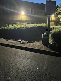 The pathway where this happened (although photo was in the early morning rather than in the pitch black when it happened)