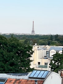 Day view from the Terrace and the Eiffel tower