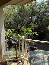 View from the patio