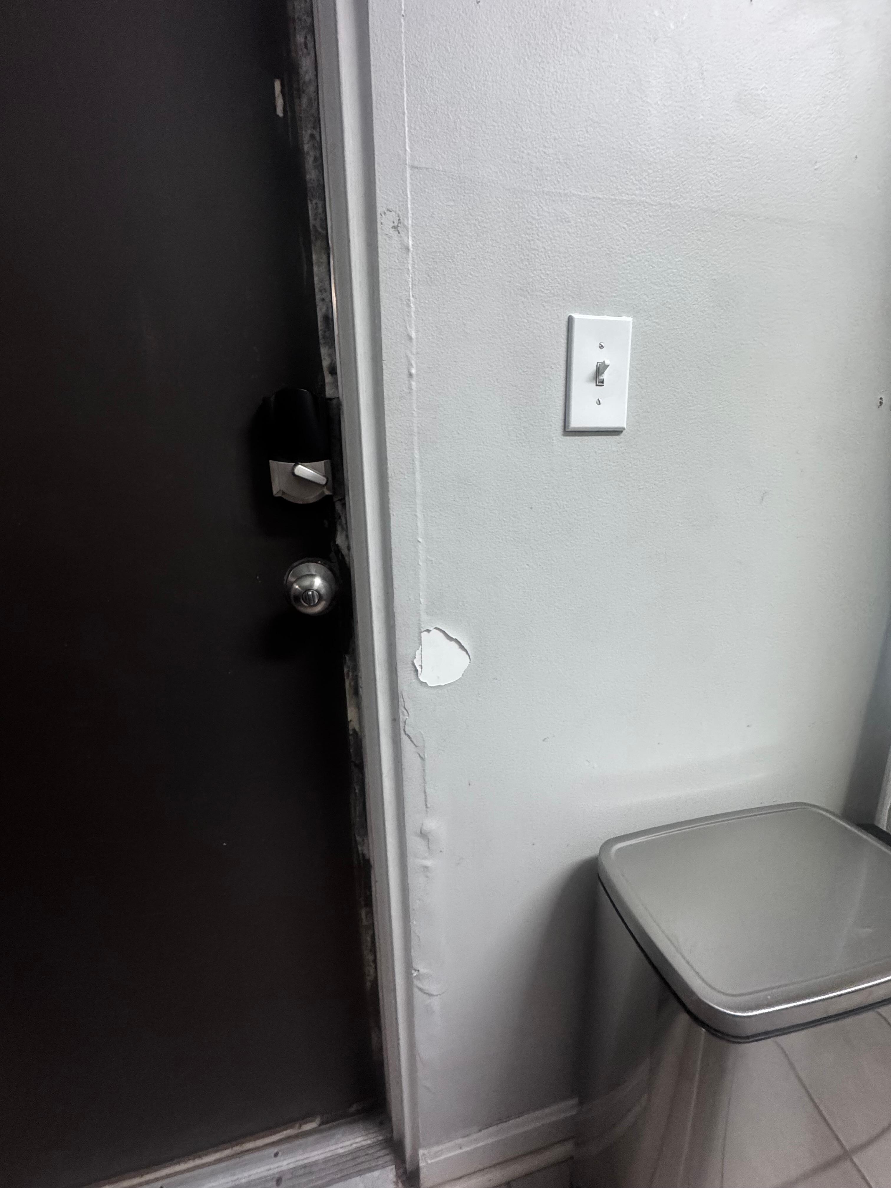 This is the cracked paint and bubbling wall by the front door