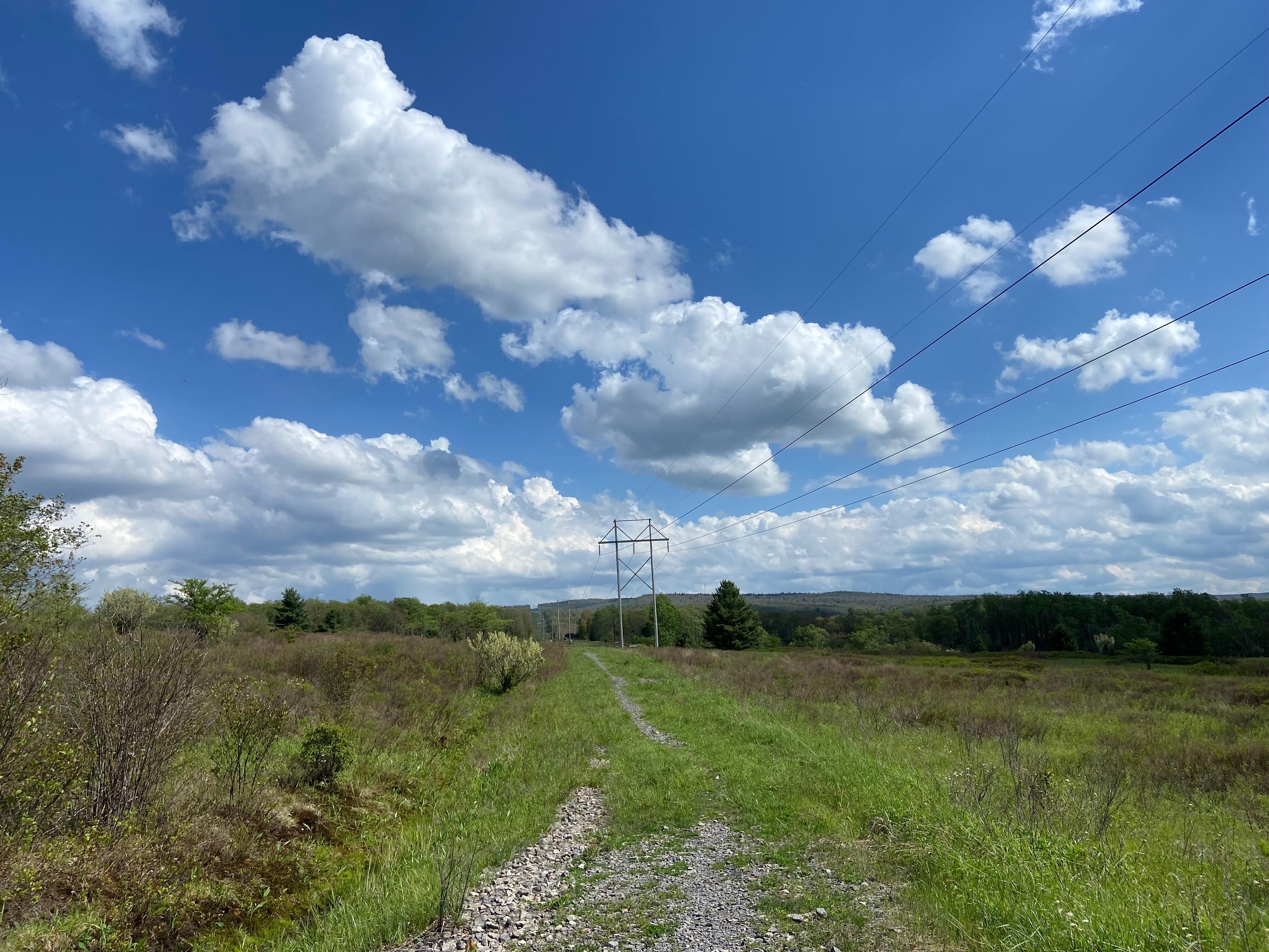 View from a trail in Davis, WV