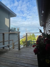 Another picture from the deck.