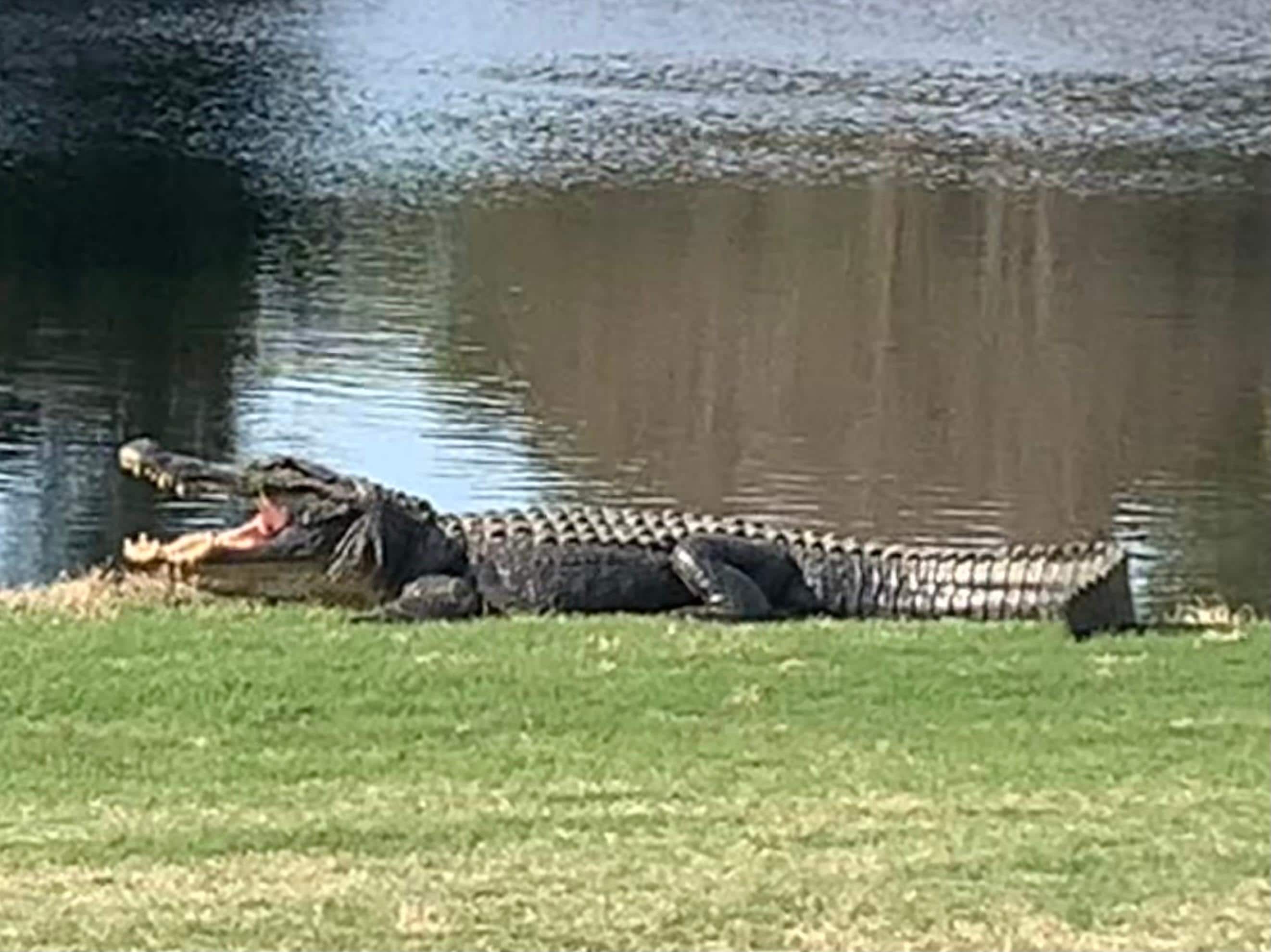 Taken at Bear Creek Golf Club