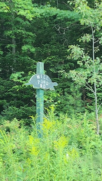 Road sign was a little hidden, but super cute when we spotted it!