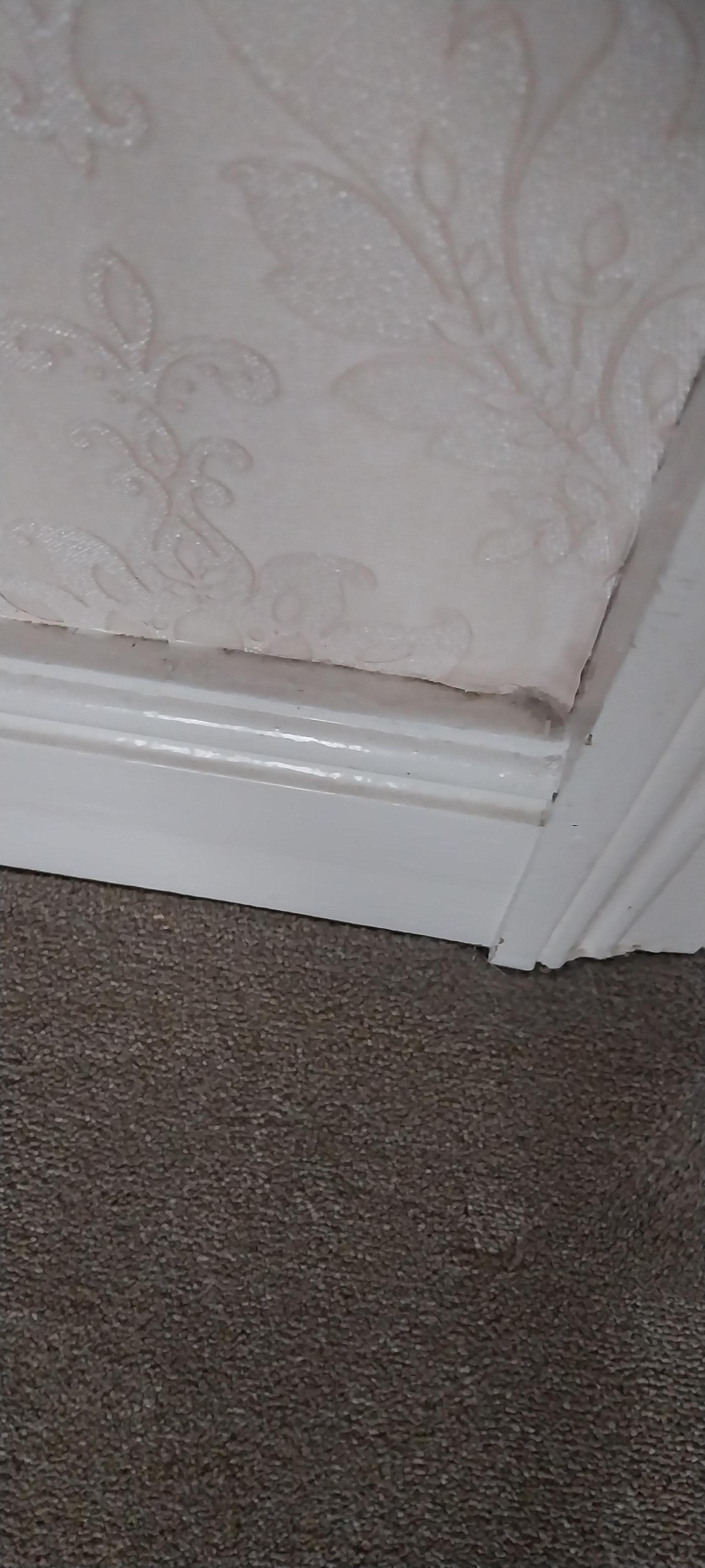 Dirt and dust on spurting boards