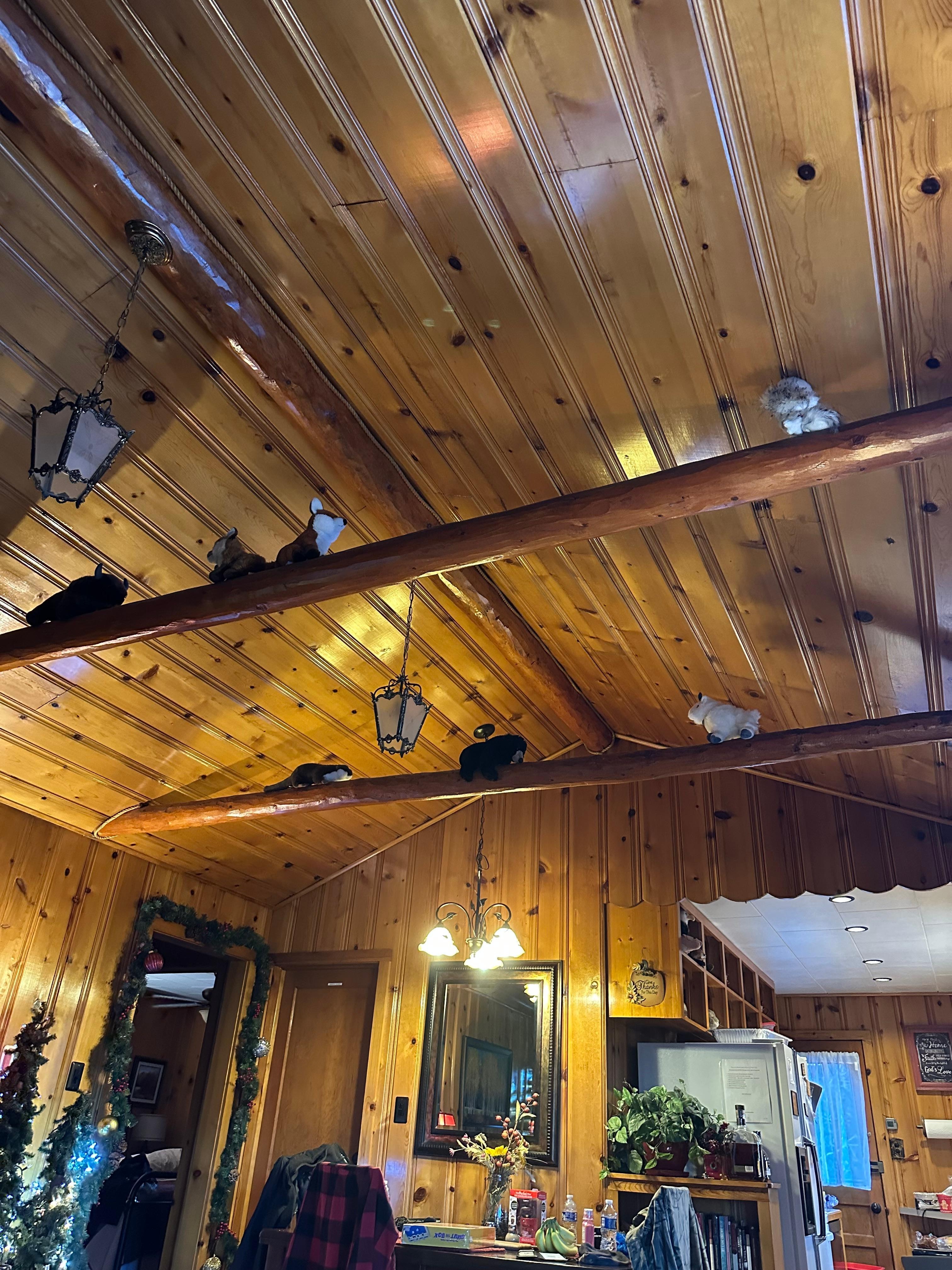 Such cute decor in the living room