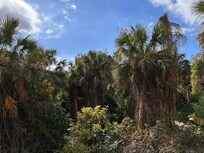 Photo from upper deck of backyard view.