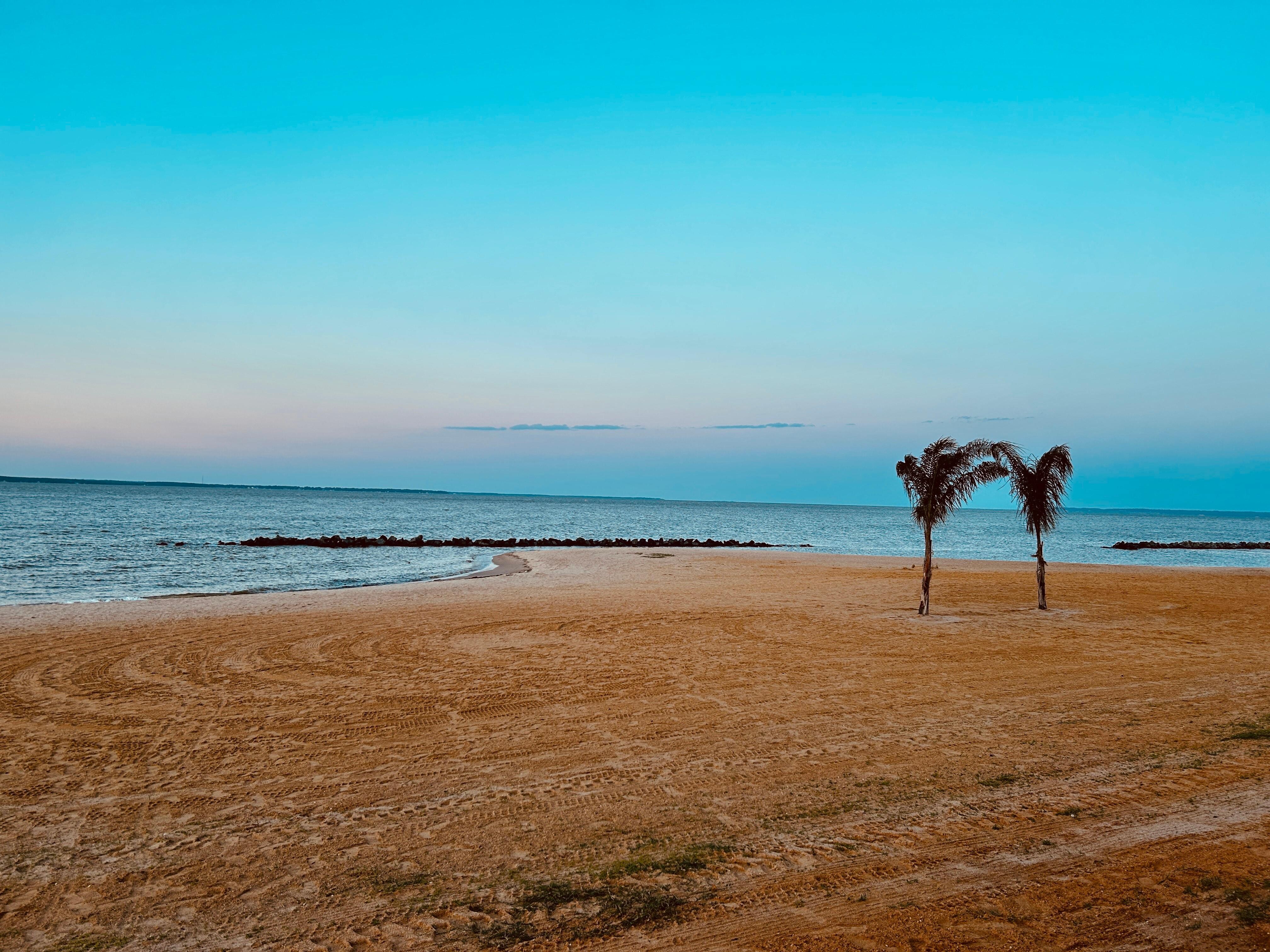 The beach