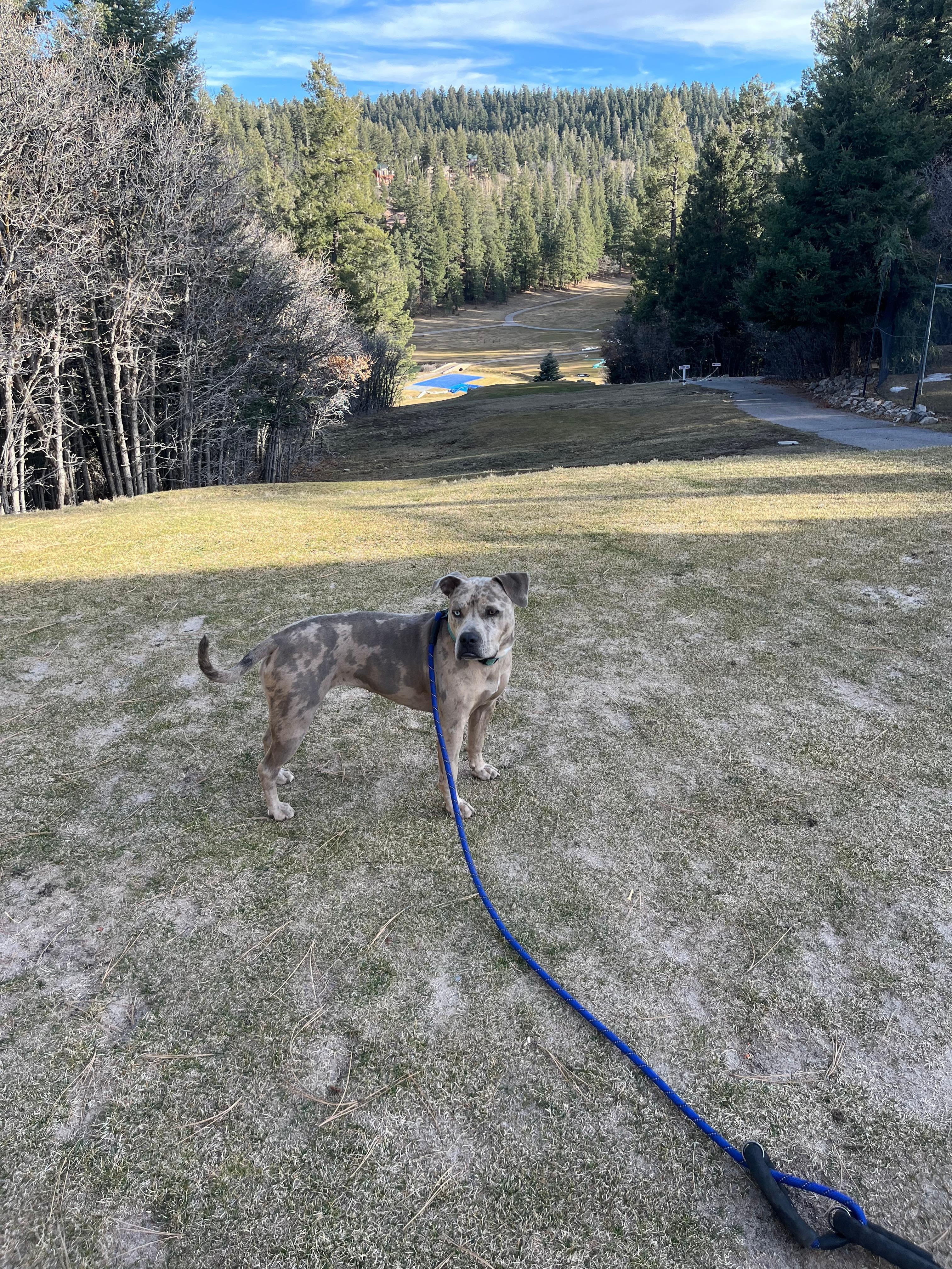 Golf course in the winter