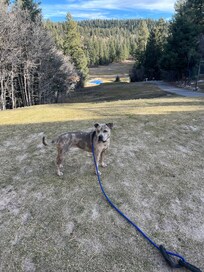 Golf course in the winter