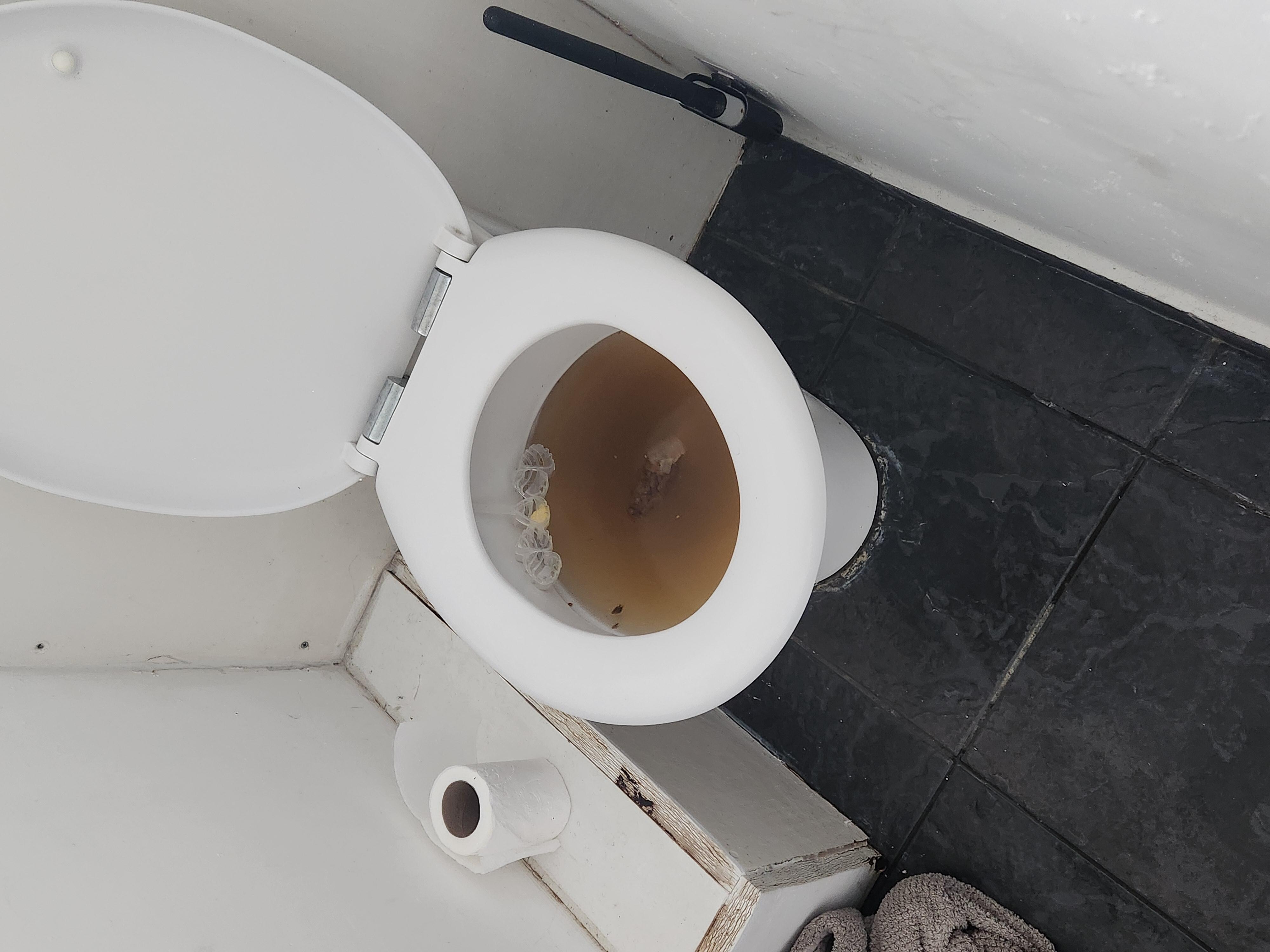 Blocked toilet