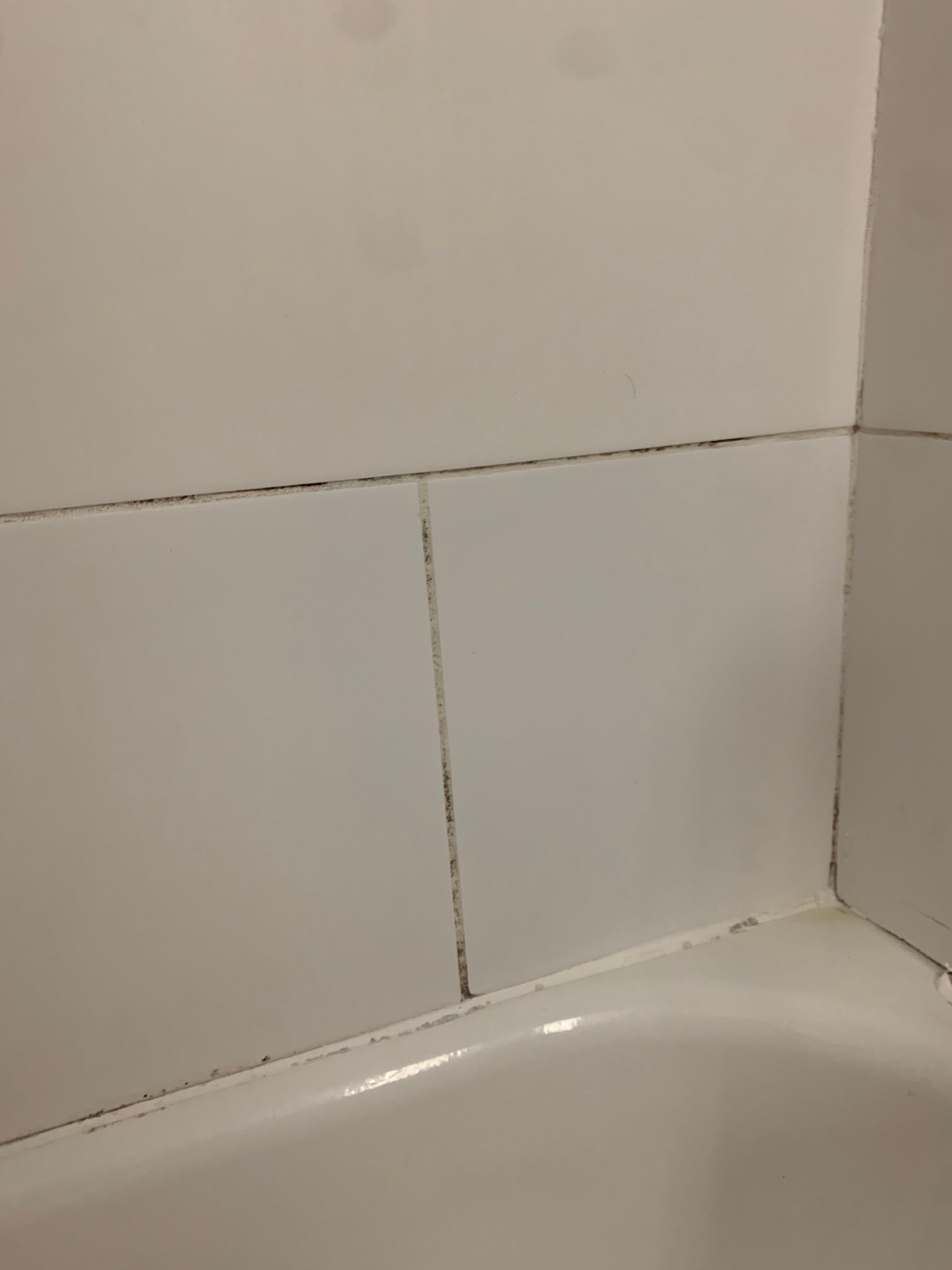 Mold on tiles in shower