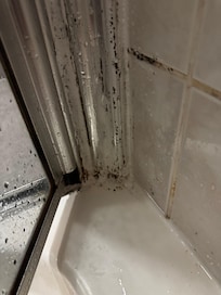 Mildew, extra cleaning only minimized